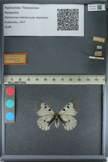 Media type: image;   Entomology 180097